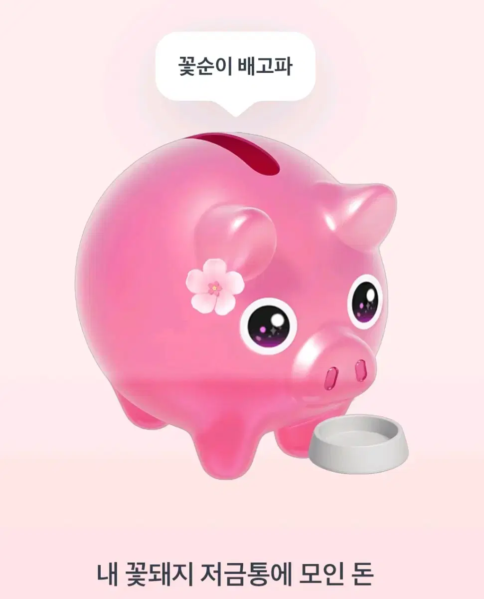 꽃돼지 토스