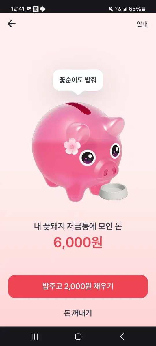 (기회소진!)토스 꽃돼지 밥주기 해주시면 500원 드려요