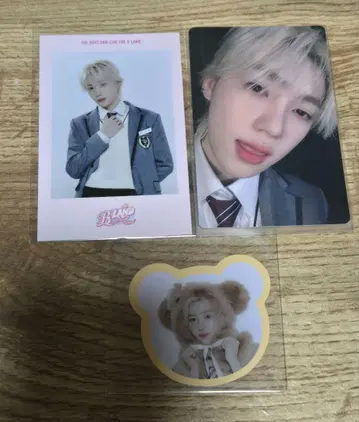 도보이스 팬콘 뉴