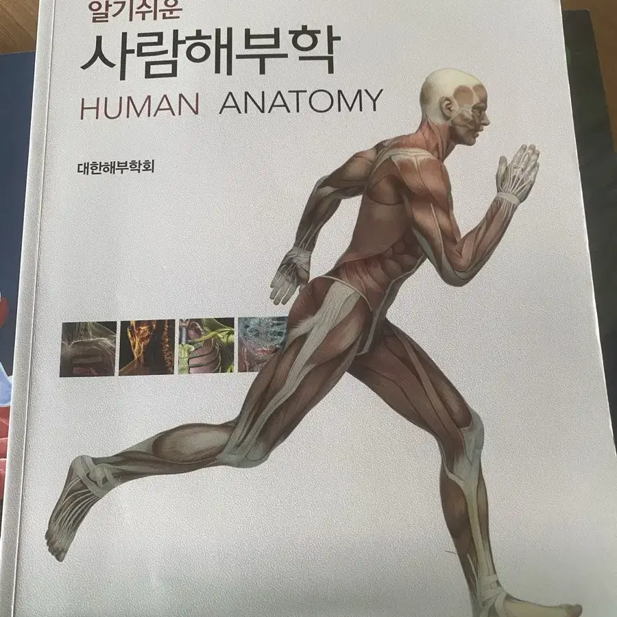 사람해부학3판 현문사