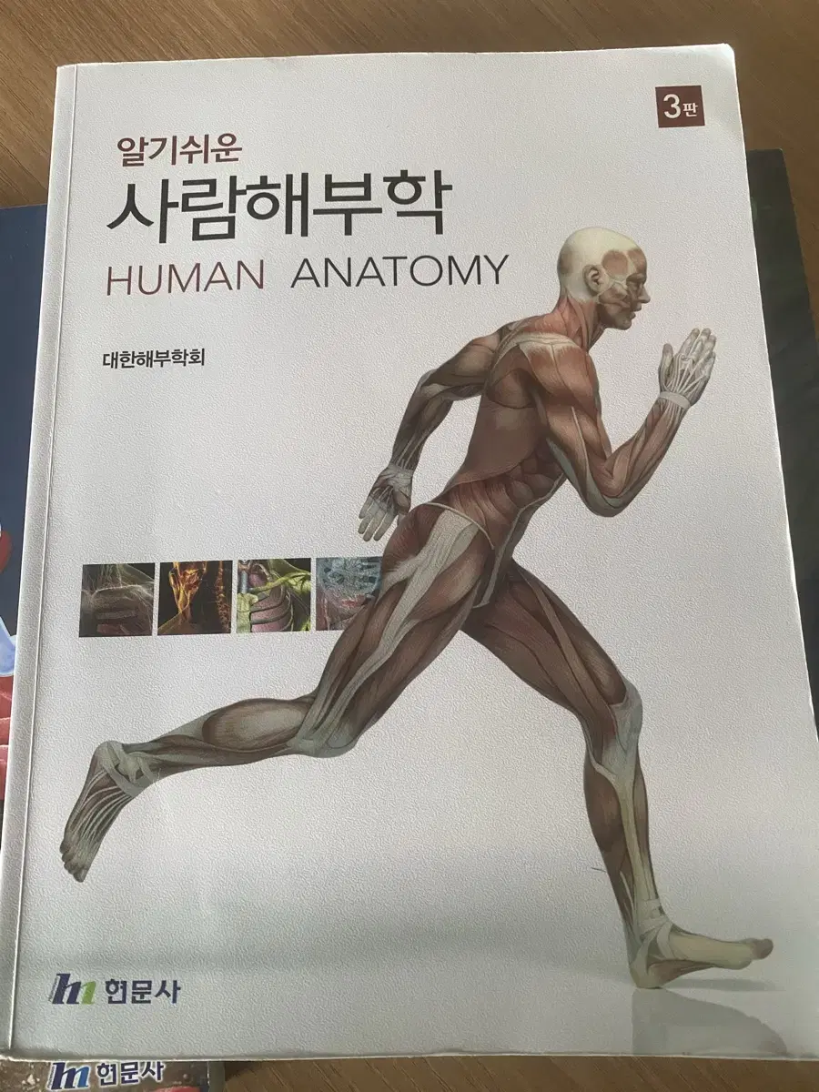 사람해부학3판 현문사