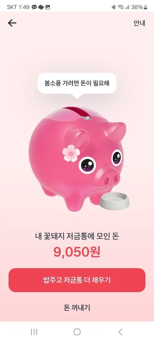 돼지 저금통 해주시면 바나나 우유 드려요