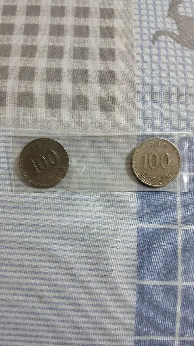 100원 동전 (1987)