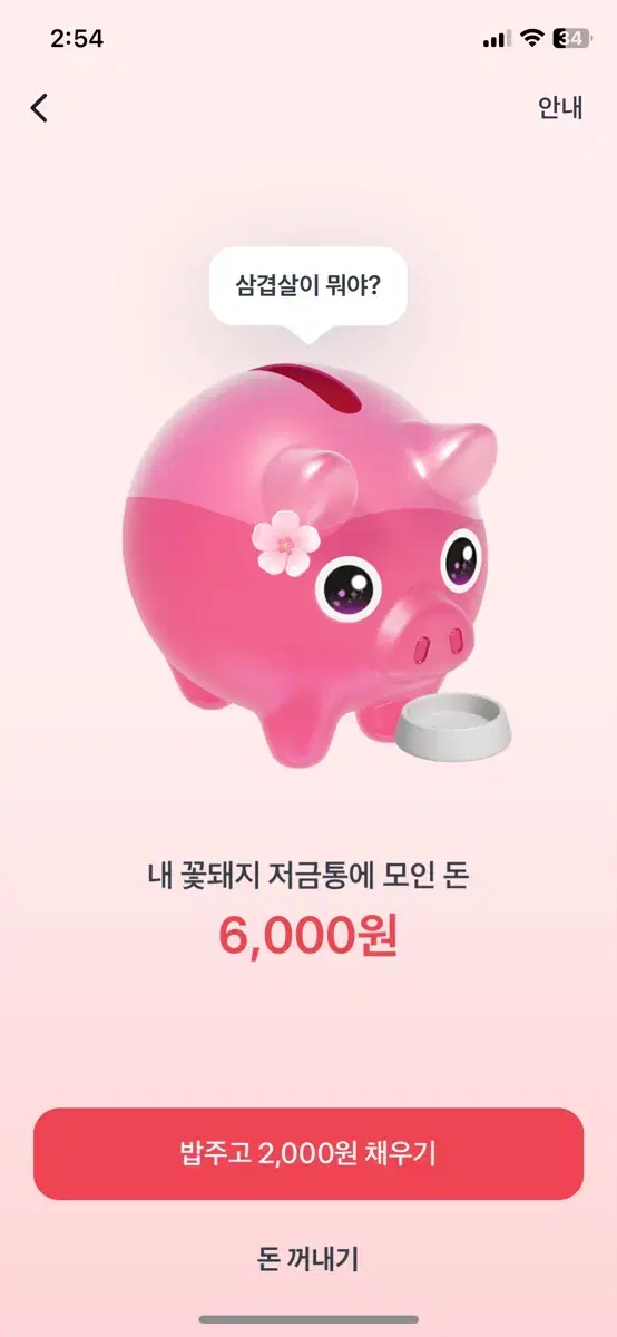 토스 꽃돼지