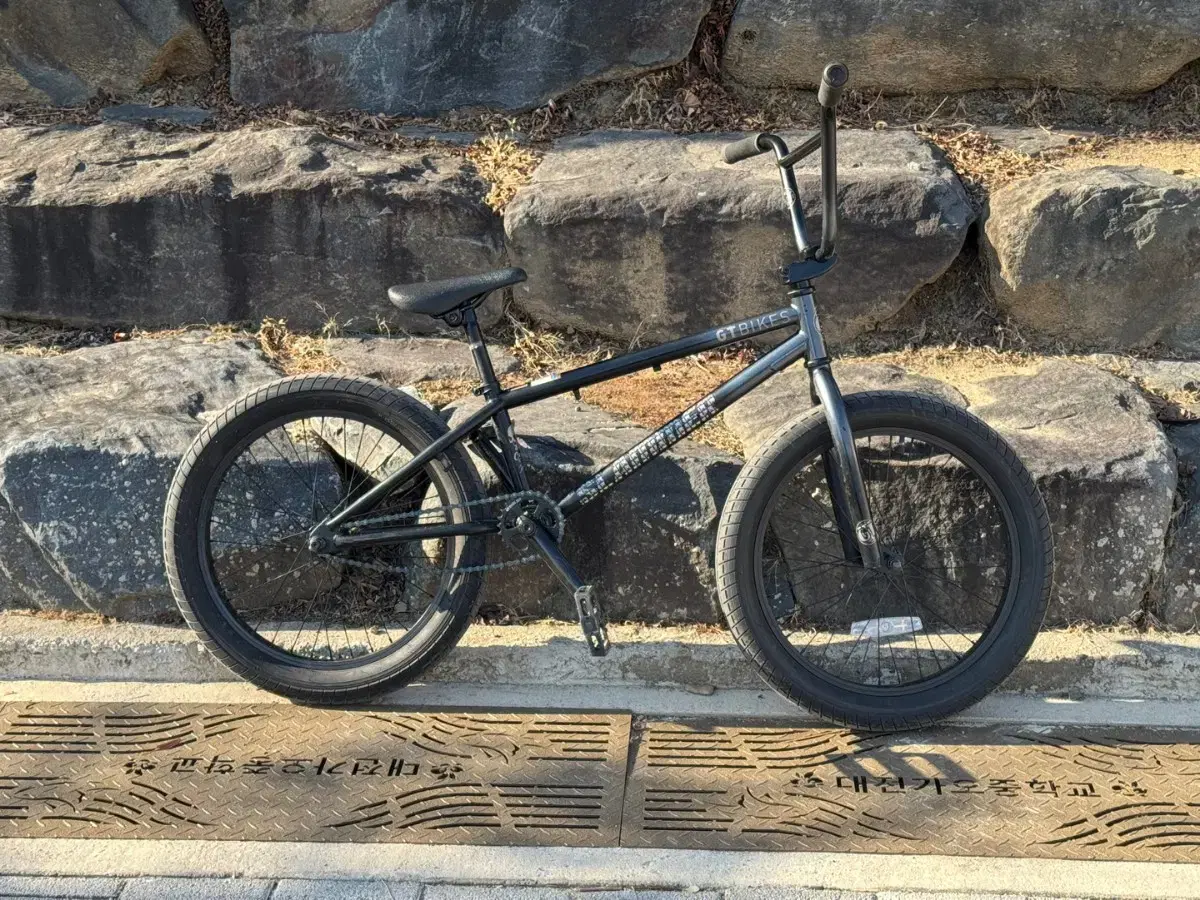 GT BMX 자전거