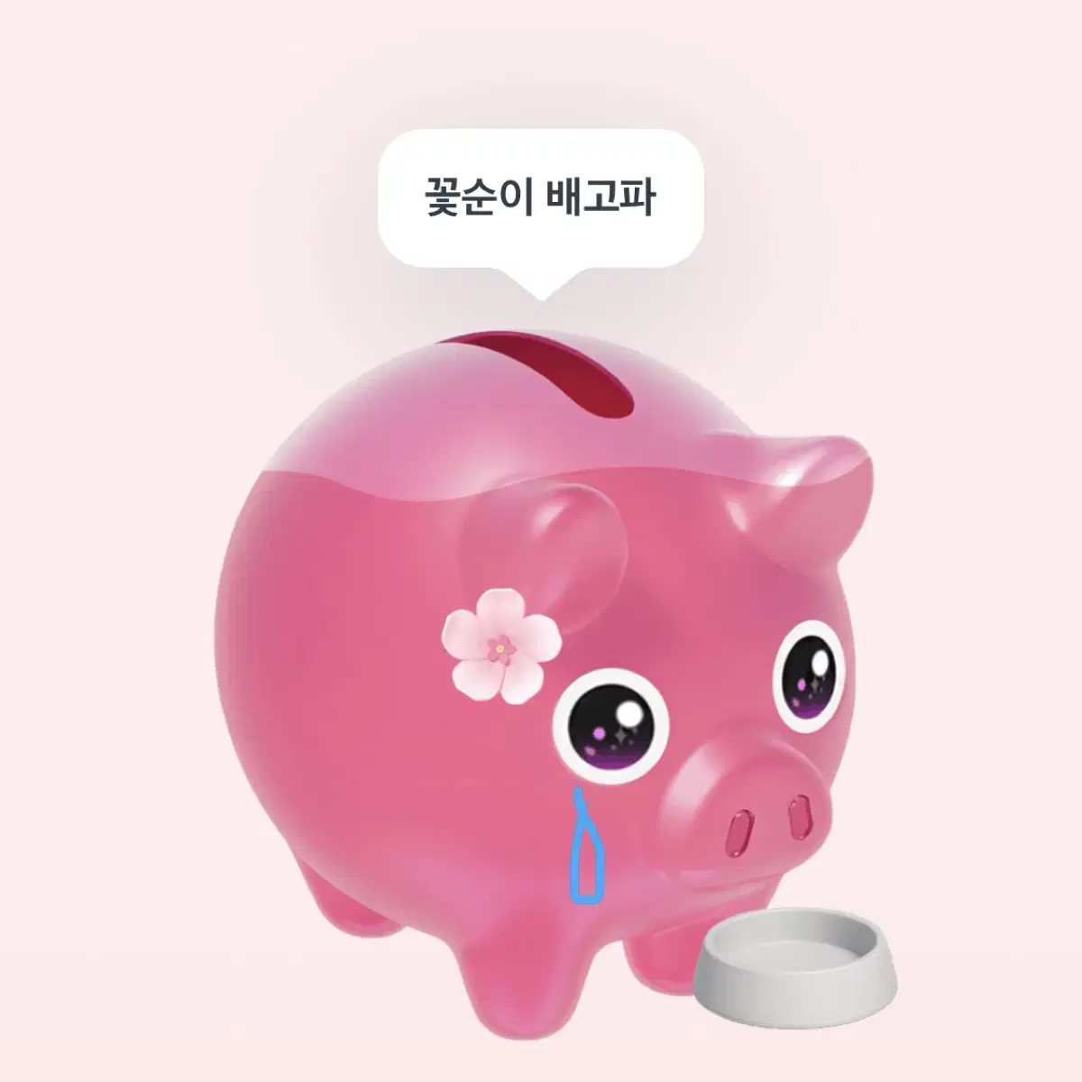 우리 아가 토스 꽃순이(꽃돼지)가 배고프대요.. 도와주세요ㅜ