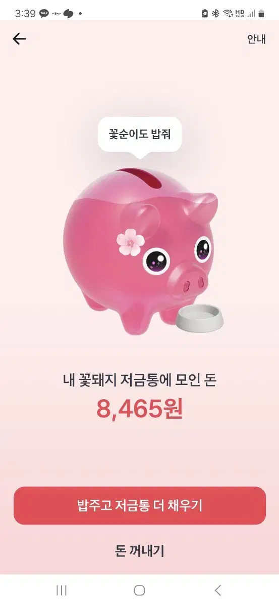 토스 꽃돼지 밥주기