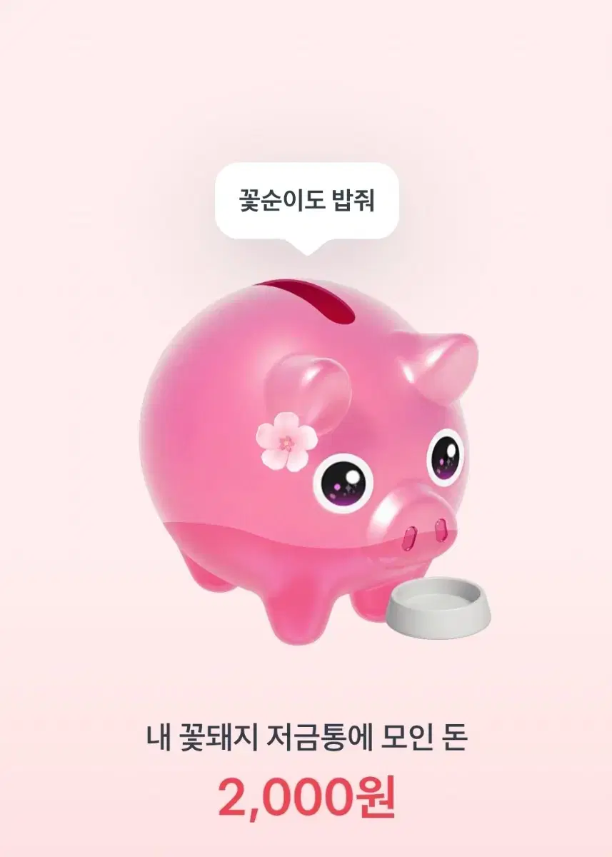 행운을 가져다주는 은혜갚는 꽃돼지 [토스뱅크]