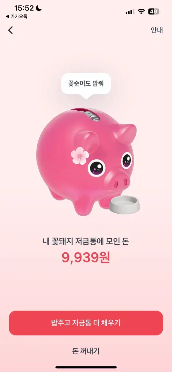 토스 꽃돼지