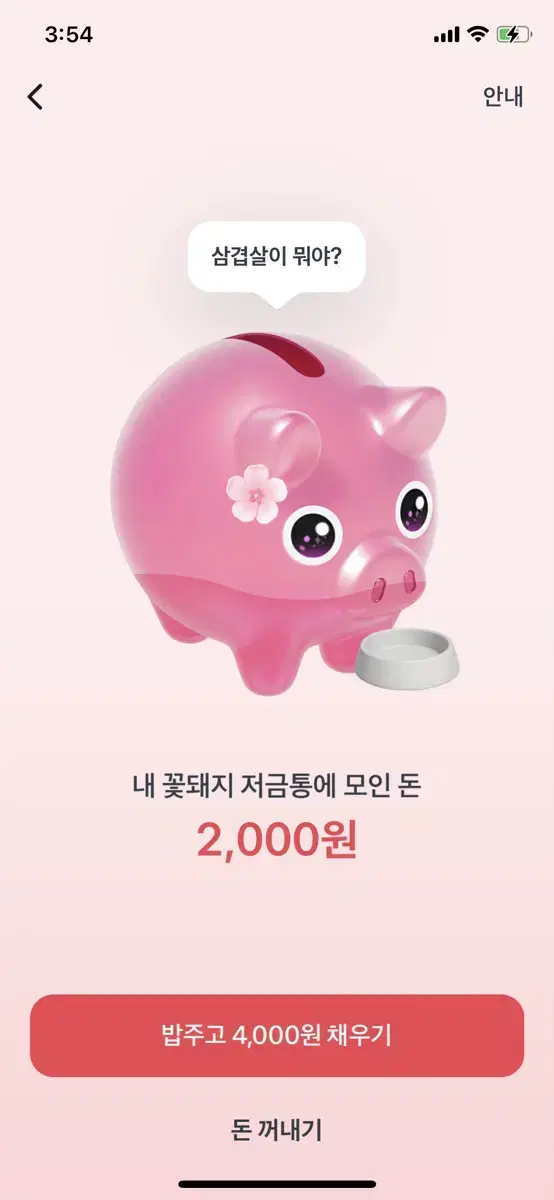 토스 꽃돼지 이벤트 같이하실분~