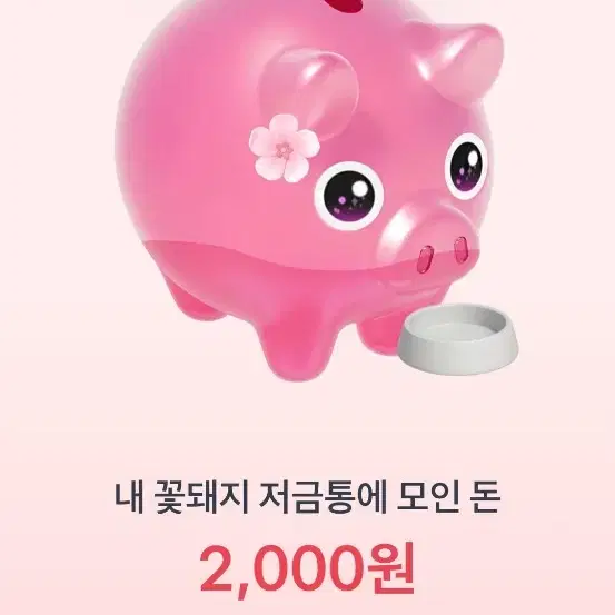 토스 꽃돼지