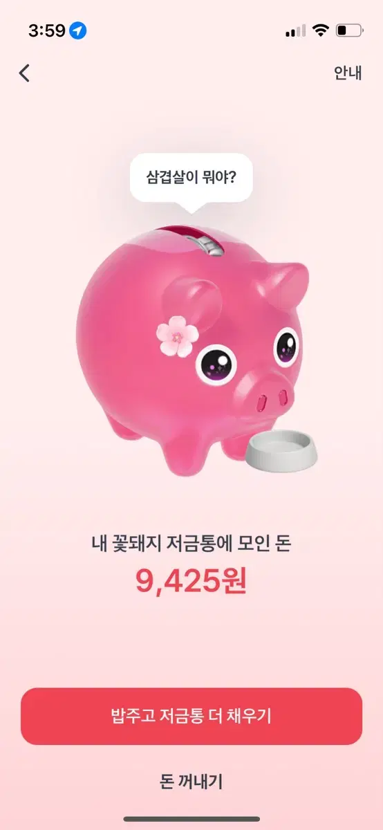 돼지저금통 이벤트 해주시고 1500 원 받아가요