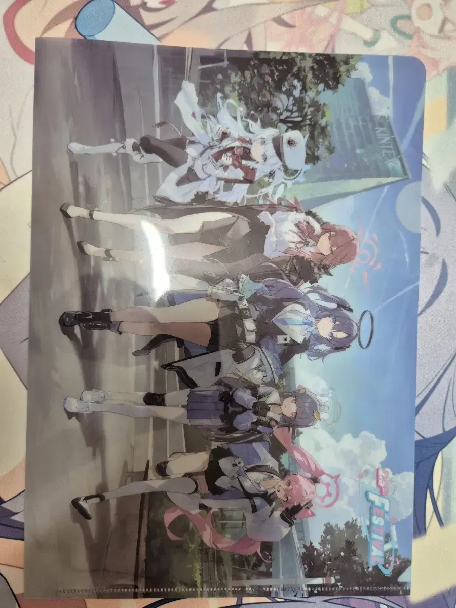 Bloo Archive 2.5th Anniversary Clear File