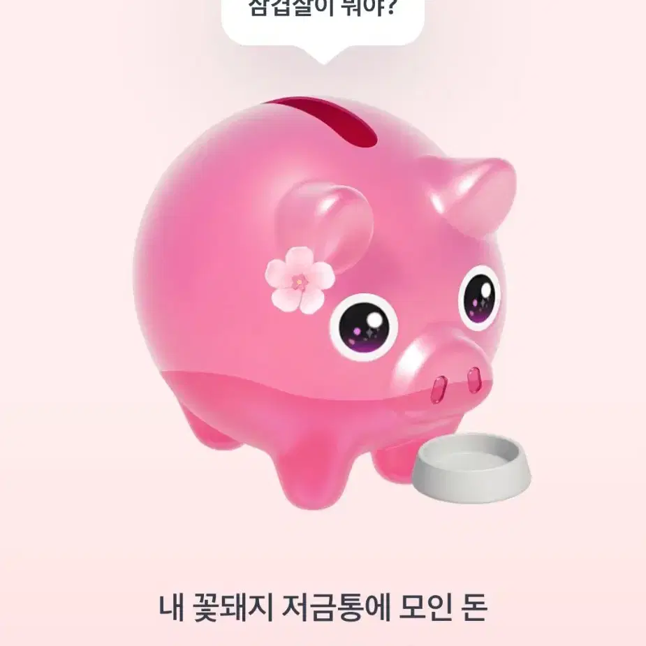 아기꽃돼지 도와주세요ㅠ..