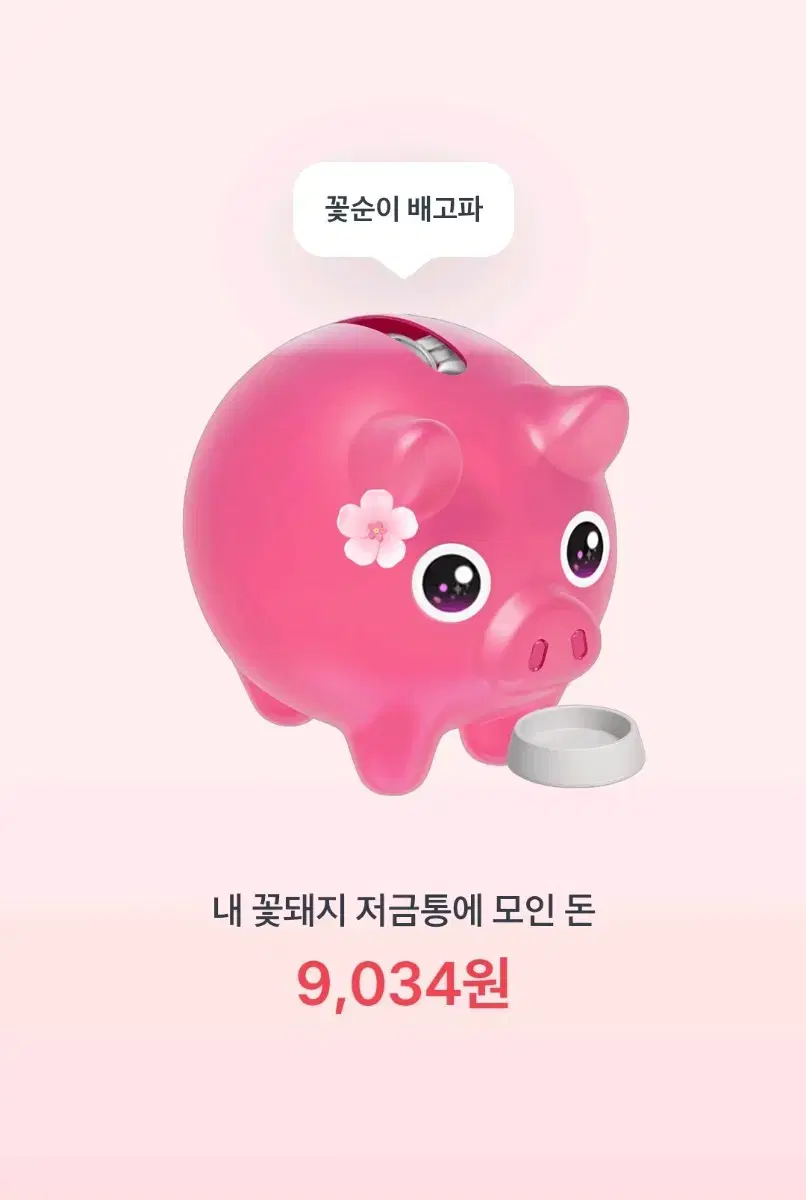 토스 꽃돼지 깊티 드려요ㅠㅠ