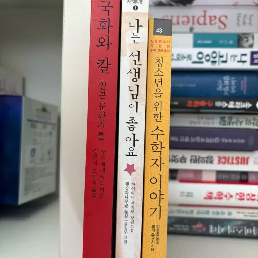 각종 도서 (경영, 경제, 에세이, 소설 등)