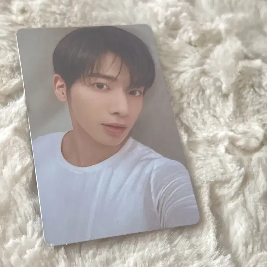 떨차티어 태현포카 투바투포카 gbgb 투바투떨차