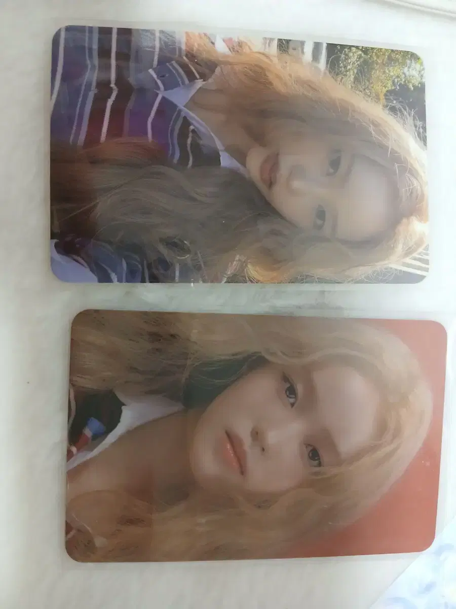이즈나 정세비 포카