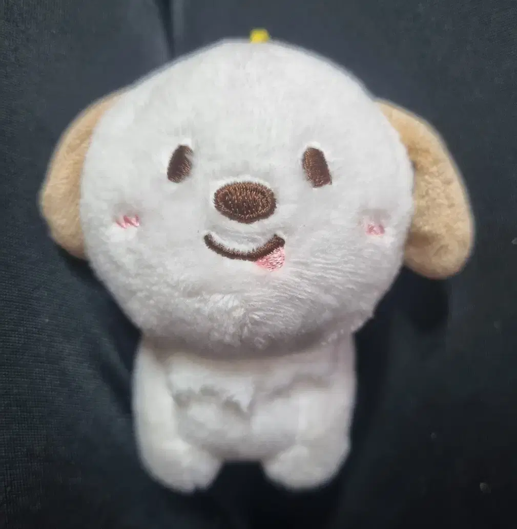 라이즈 앤톤 멍룡이 인형 키링 10cm