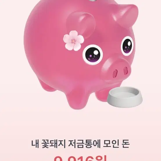 토스 꽃돼지