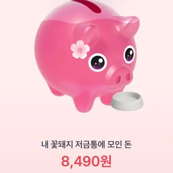 토스 꽃돼지 해주심 깊티