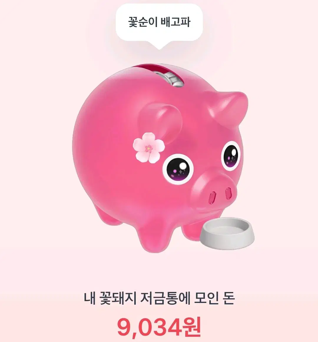 토스 꽃돼지 깊티드려용!!!