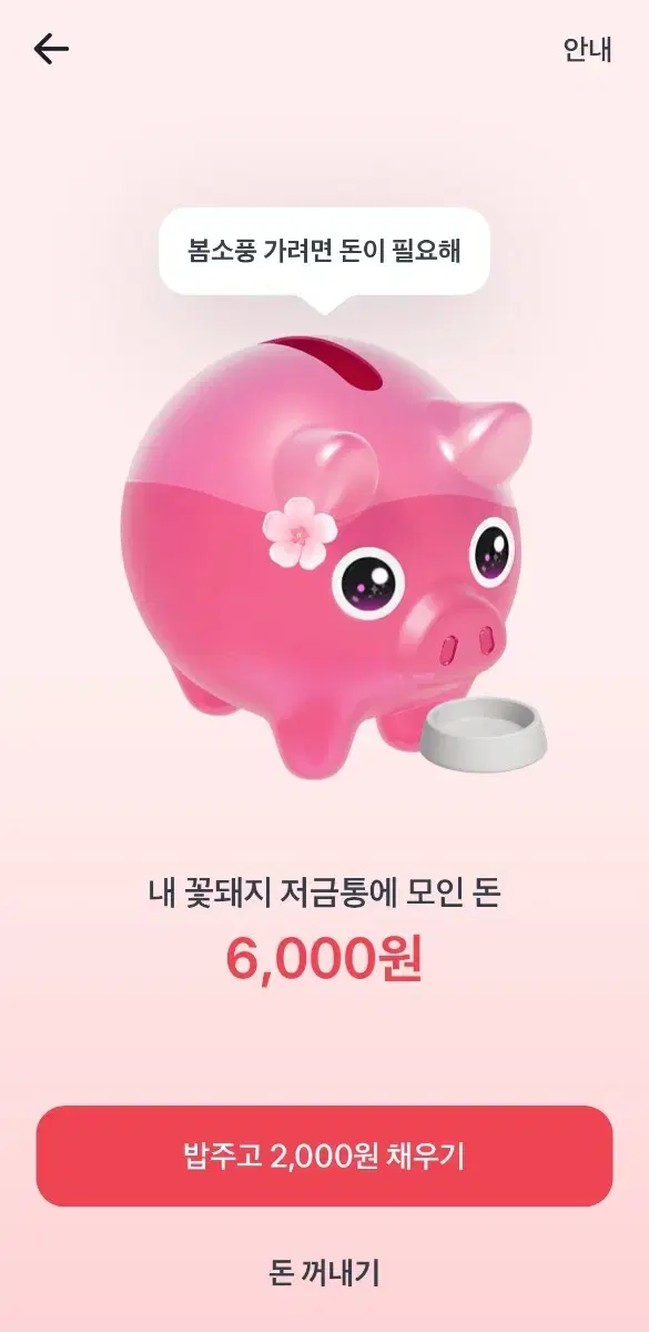 토스 꽃돼지키우기