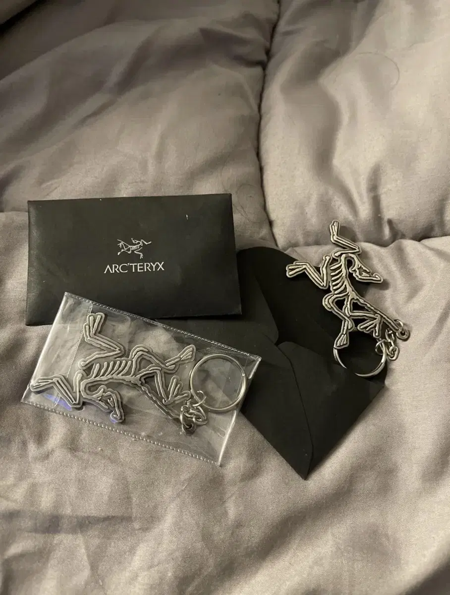 Arcteryx keyring