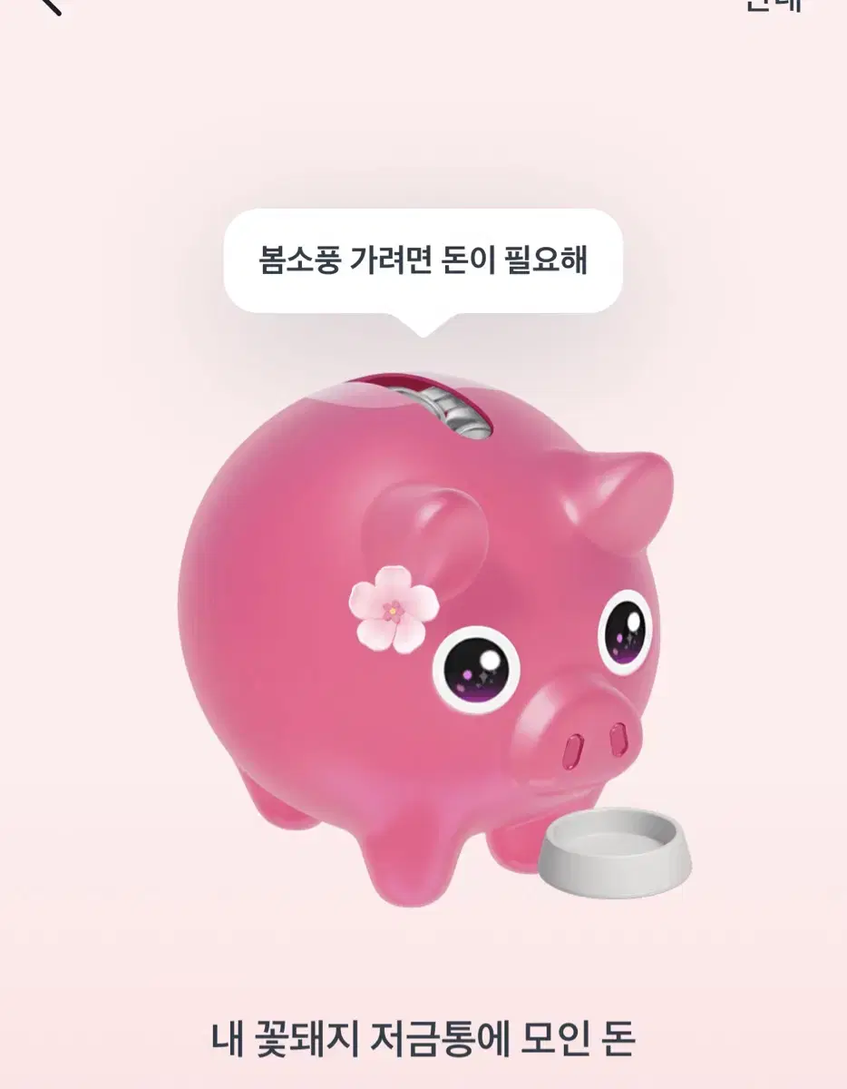 토스 꽃돼지 밥주기