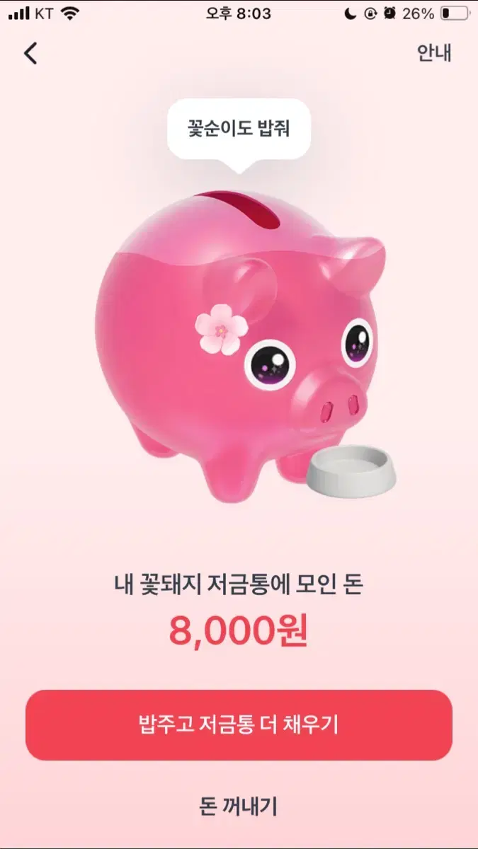 꽃돼지 서로 해주실분