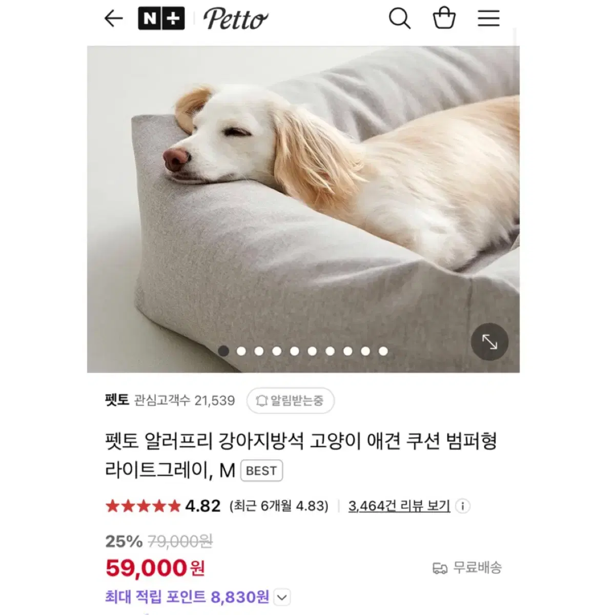 빵빵한 펫토 알러프리 진드기방지 강아지방석 M 강아지쿠션