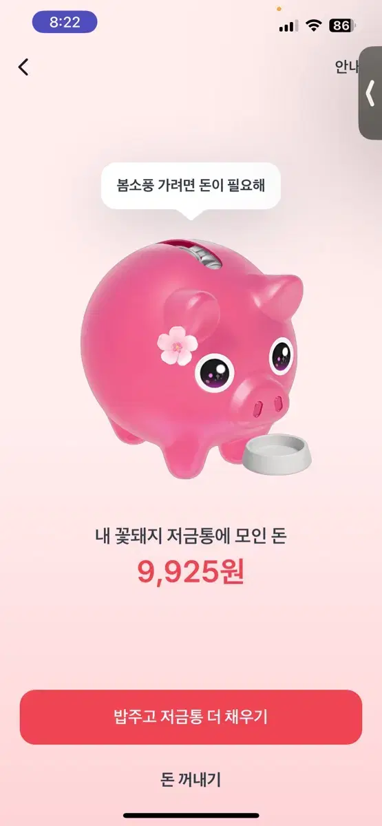 토스 꽃순이 돼지 저금통