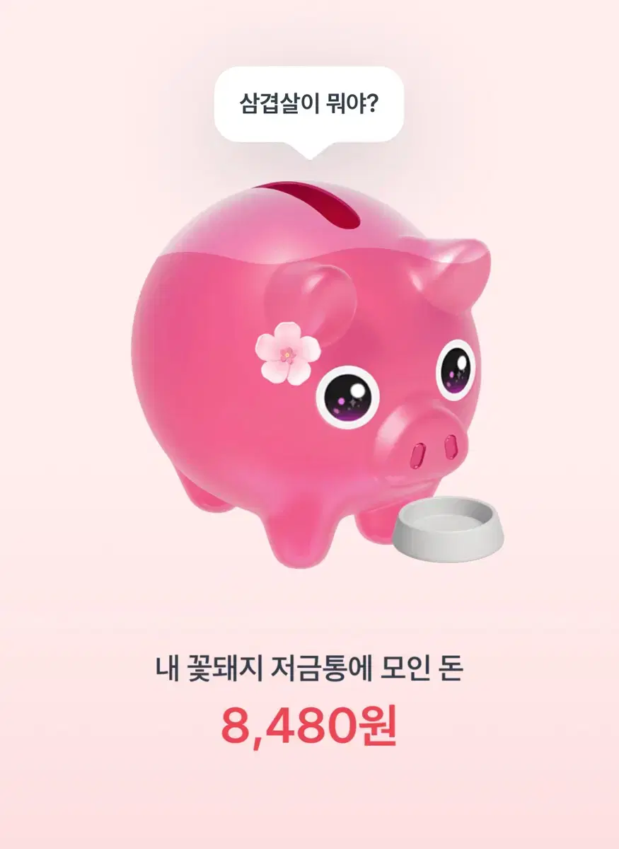 토스 꽃돼지