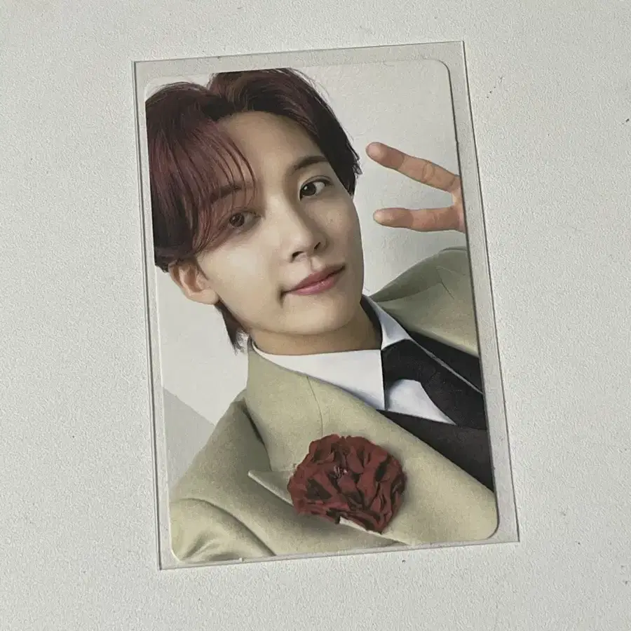 세븐틴 정한 인컴플릿 디비디 포카