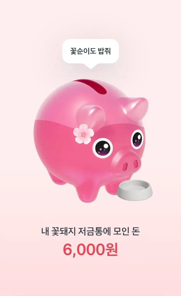 꽃돼지 밥주기 해주시면