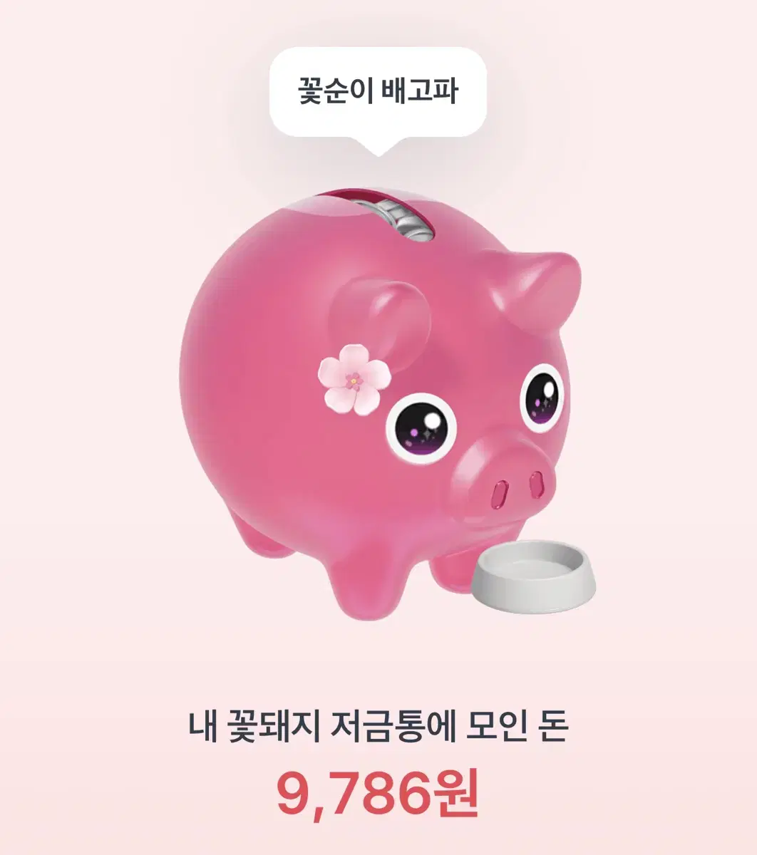 토스 꽃돼지 토스 돼지 토스 저금통 기프티콘 드려요! 200원 남았어요