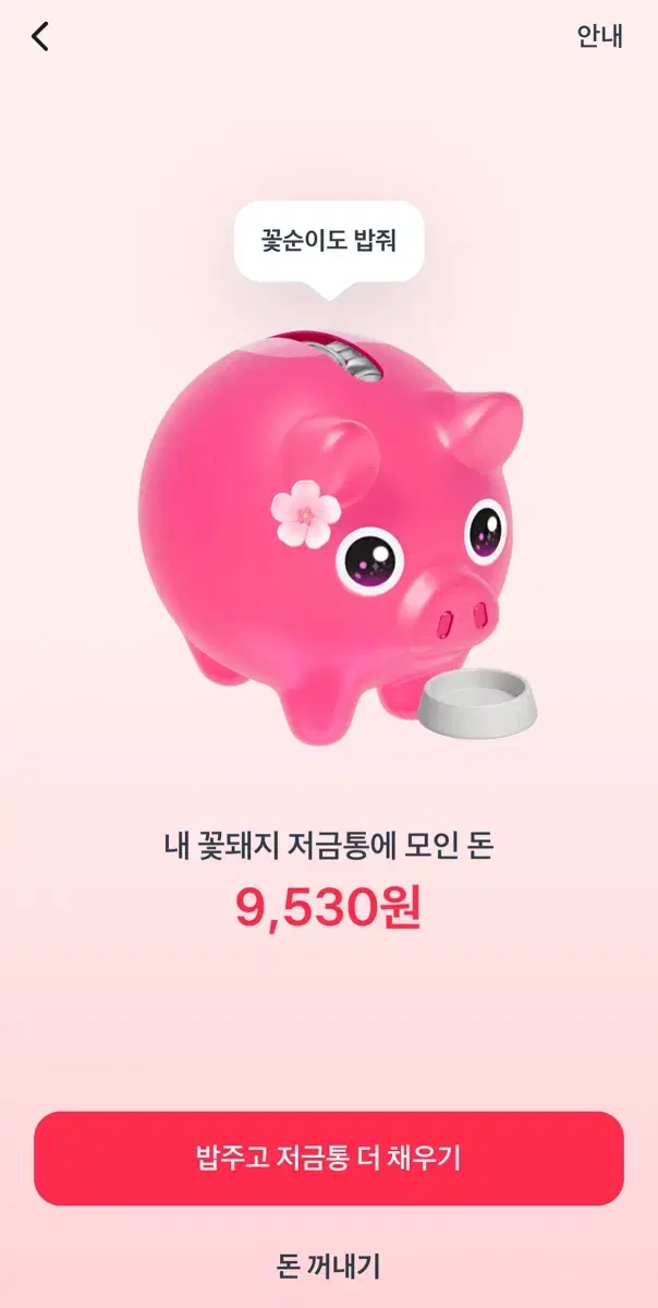 Raising a flower pig and getting paid 10,000 won