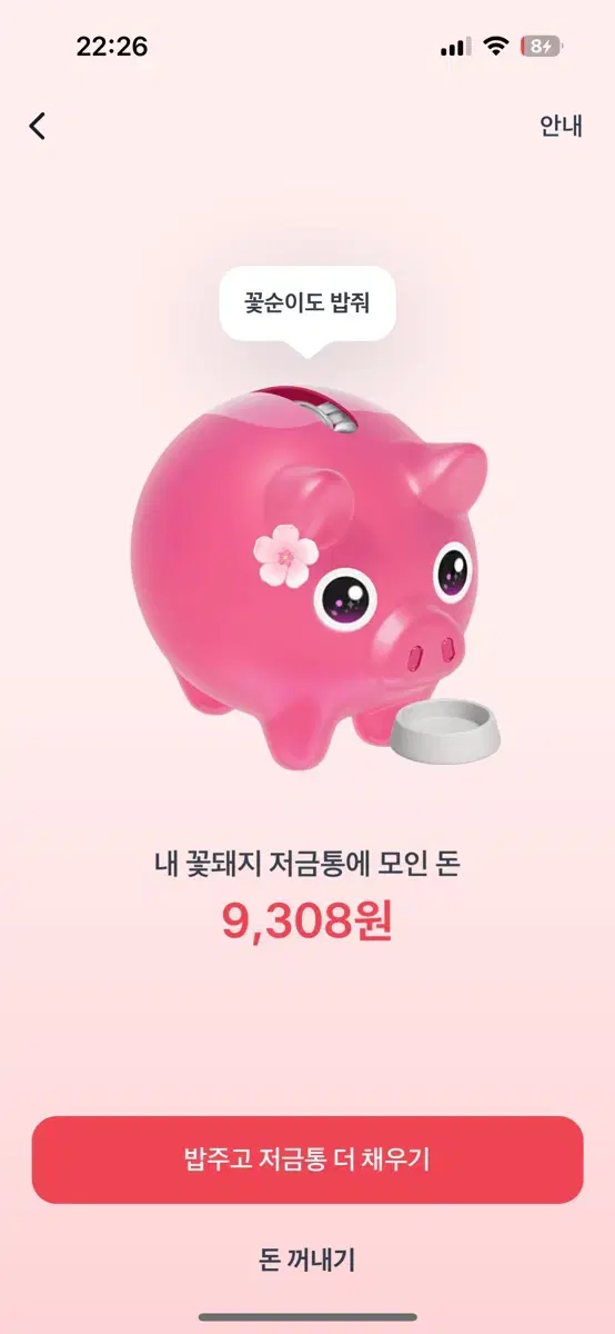 꽃돼지 해주실분