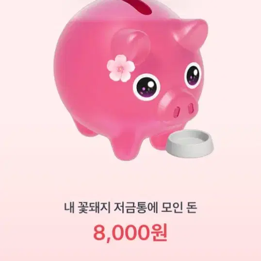 토스 꽃돼지 밥주기