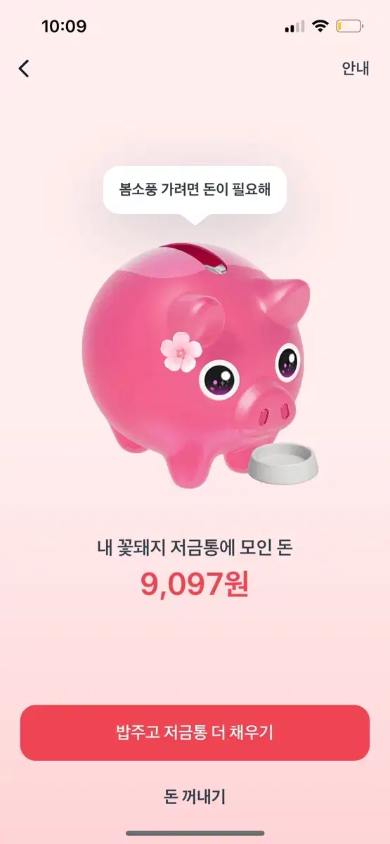 토스 꽃돼지 바로해드려요