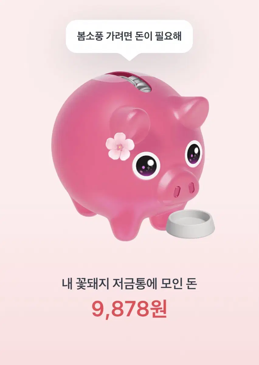 꽃돼지 해주시면 돈 드려요!!