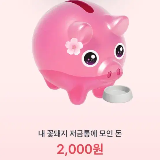 토스 꽃돼지 맞교 교환