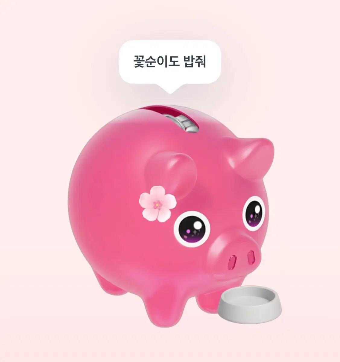 꽃돼지 해드려요