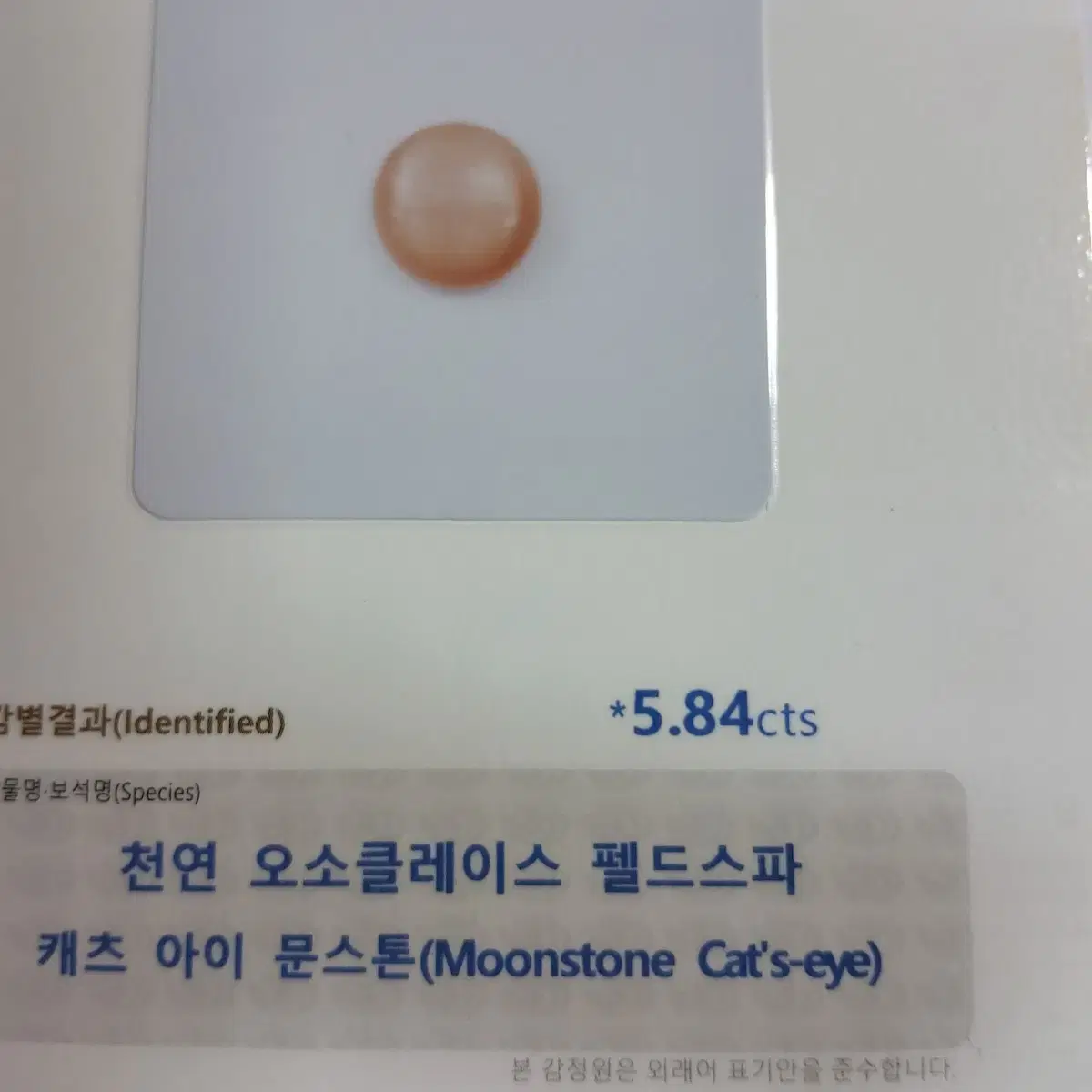 천연캐츠아이 오렌지 문스톤5.8ct