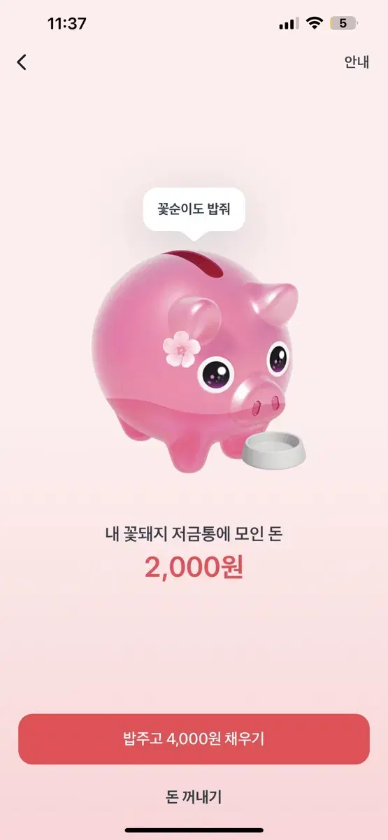 토스 꽃돼지 적립해주시고 성함 남겨주시면 즉시 입금해드려요