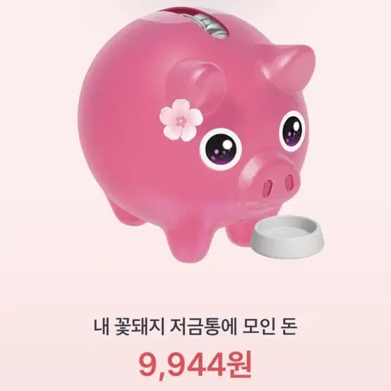 토스 꽃돼지 기회 구매