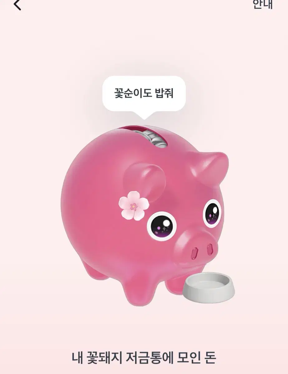 토스 꽃돼지 꿀꿀이 저금통