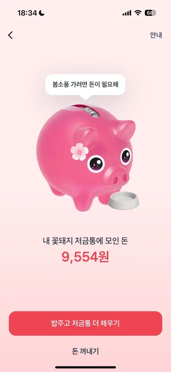 토스 돼지꽃 새콤달콤 드려요