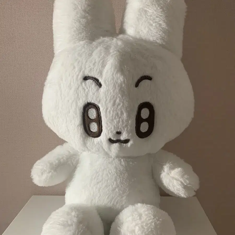 !급처 폭덤! 왕바투 양도합니다 왕빈이 투바투 뽀바투 수빈인형