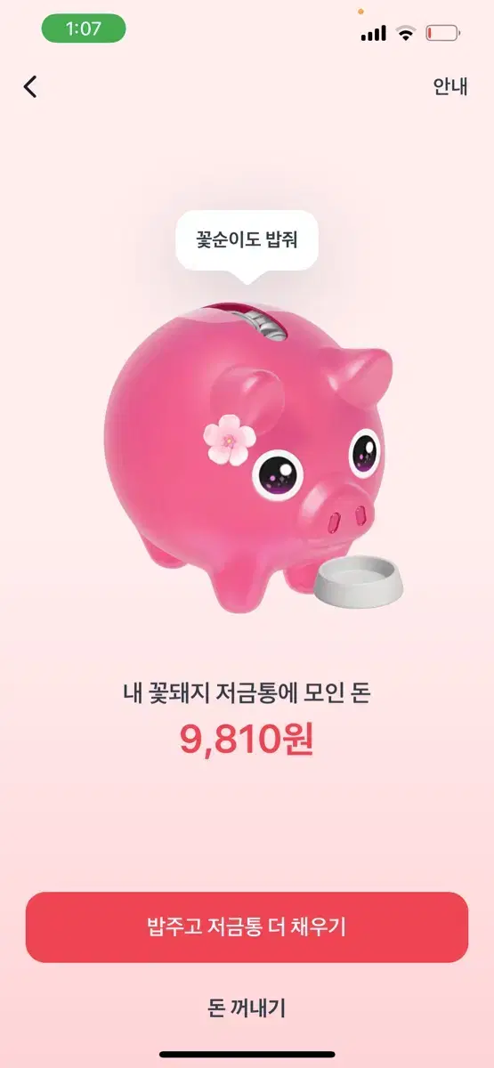 꽃돼지 한번씩만해주세요  ㅠㅠ 해주시면 뽀뽀 갈김